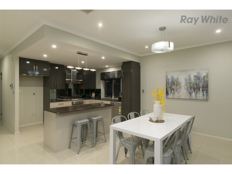 42 Hawker Avenue, Plympton Park SA 5038