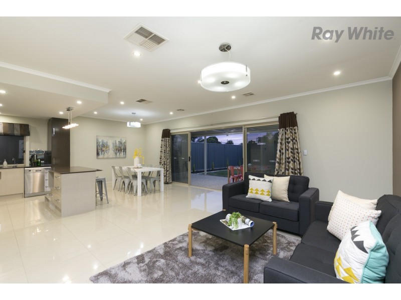 42 Hawker Avenue, Plympton Park SA 5038