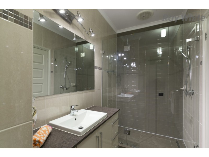 42 Hawker Avenue, Plympton Park SA 5038