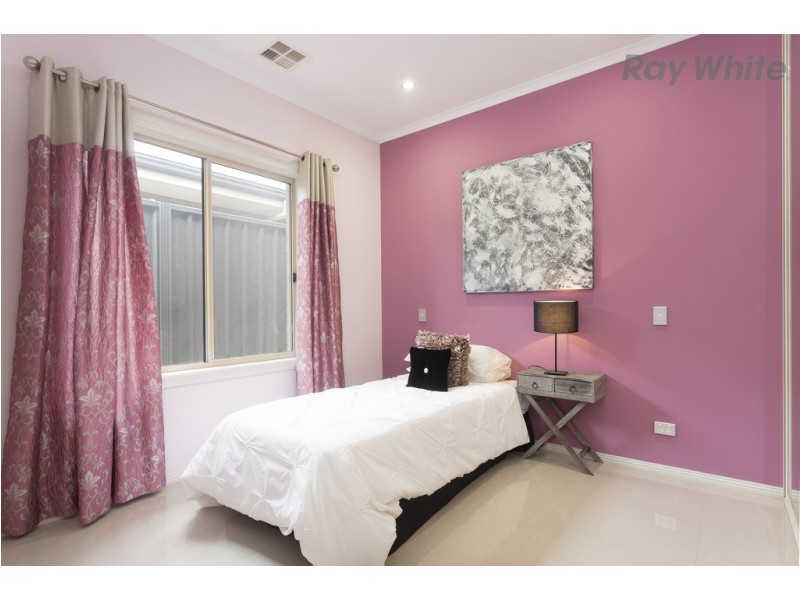 42 Hawker Avenue, Plympton Park SA 5038