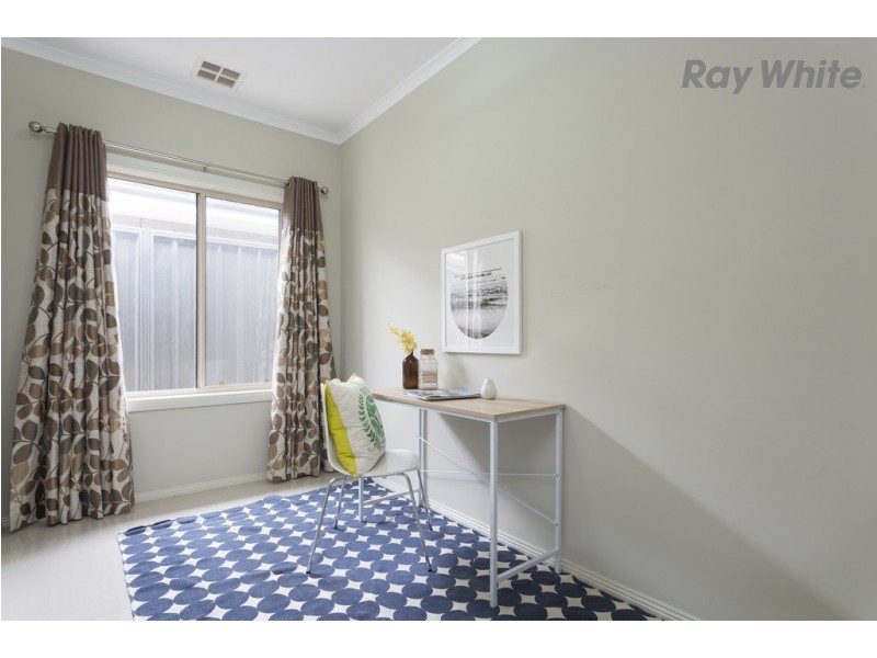 42 Hawker Avenue, Plympton Park SA 5038