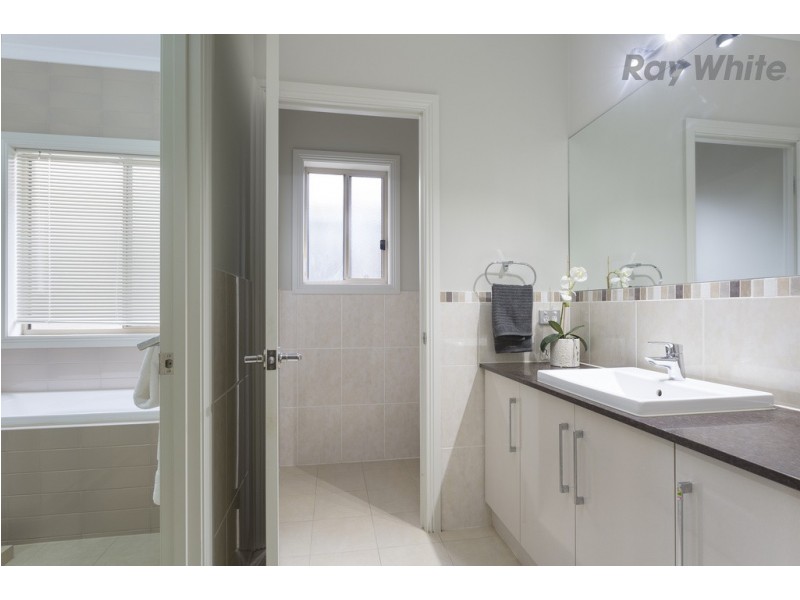 42 Hawker Avenue, Plympton Park SA 5038