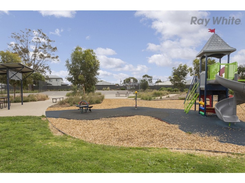 42 Hawker Avenue, Plympton Park SA 5038