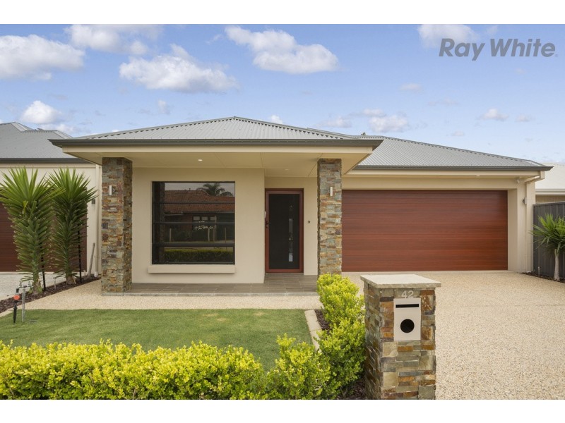 42 Hawker Avenue, Plympton Park SA 5038