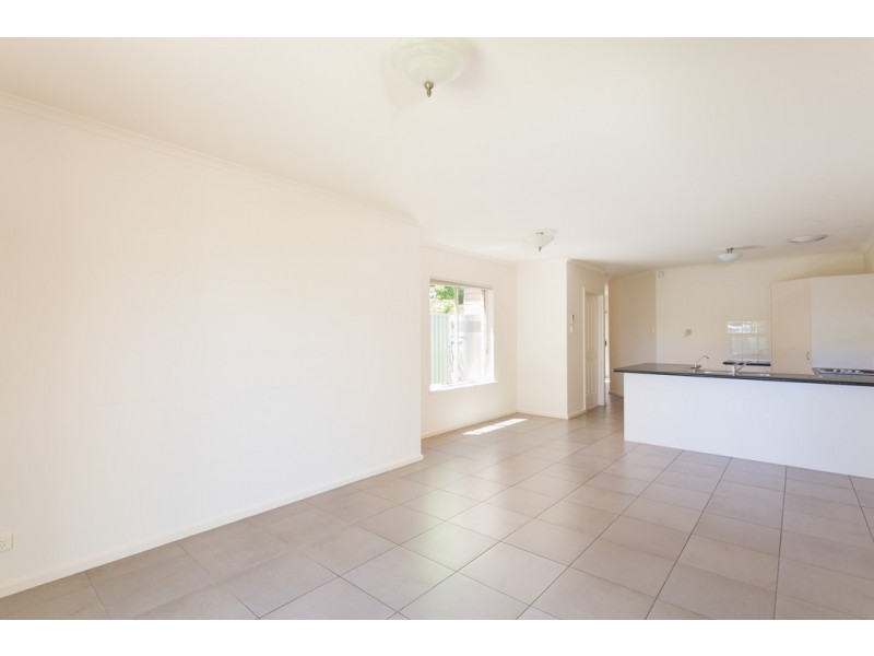 2 Orkney Ave, Marion SA 5043