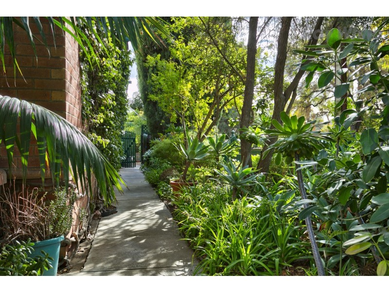 42 Glenburnie Terrace, Plympton SA 5038