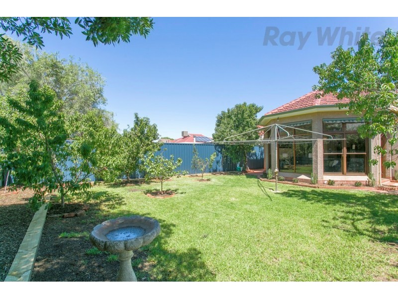 8 Arthur Street, Plympton Park SA 5038