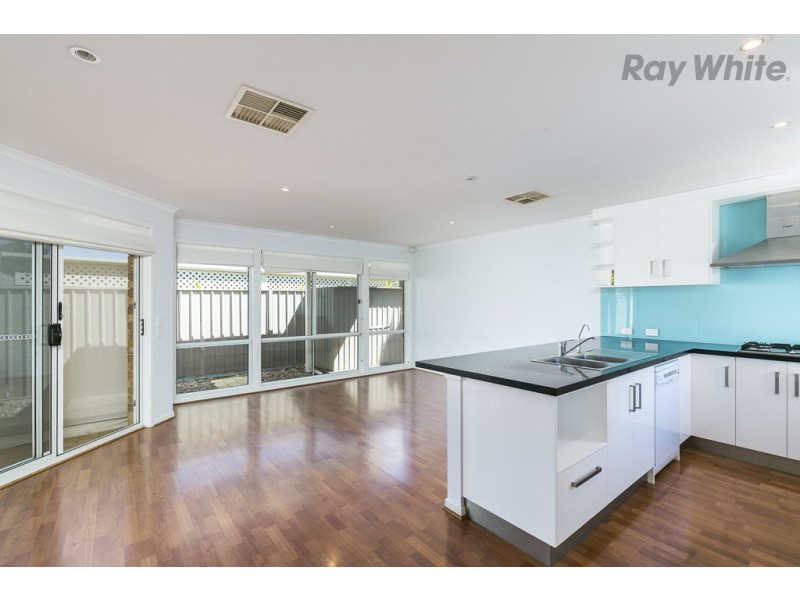 71 Osborn Terrace, Plympton SA 5038