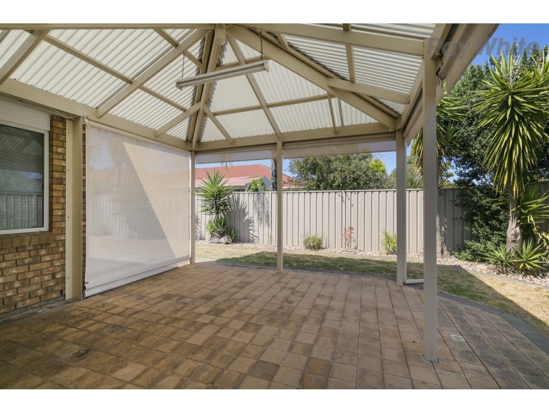71 Osborn Terrace, Plympton SA 5038