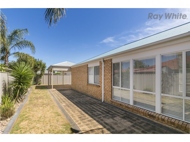 71 Osborn Terrace, Plympton SA 5038