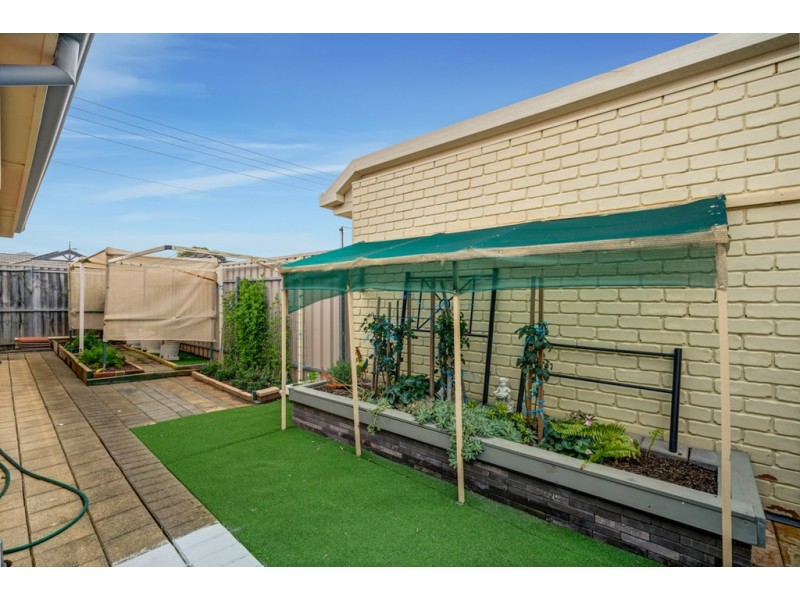 11 Peterson Avenue, Mitchell Park SA 5043