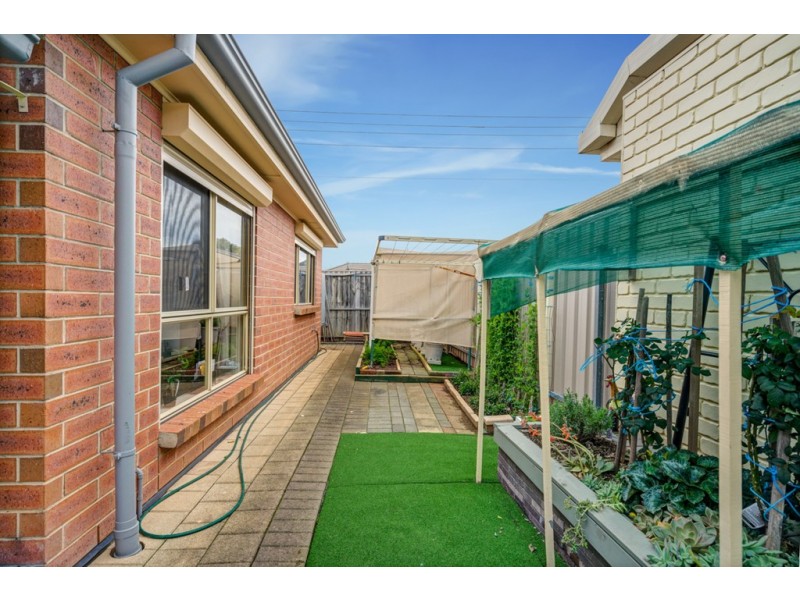 11 Peterson Avenue, Mitchell Park SA 5043