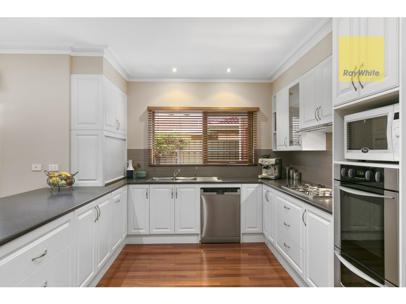 43 Livingstone Street, Glengowrie SA 5044