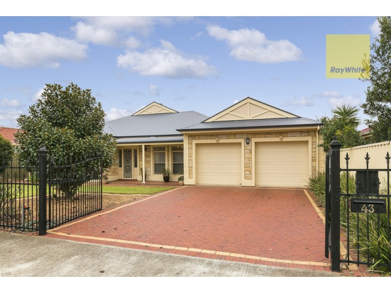 43 Livingstone Street, Glengowrie SA 5044