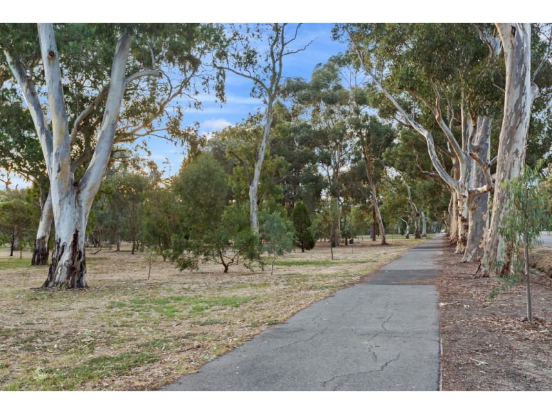 309/191 Greenhill Road, Parkside SA 5063