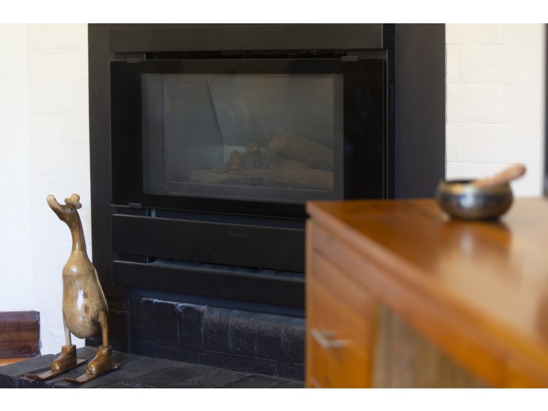 54 Oliphant Avenue, Marion SA 5043