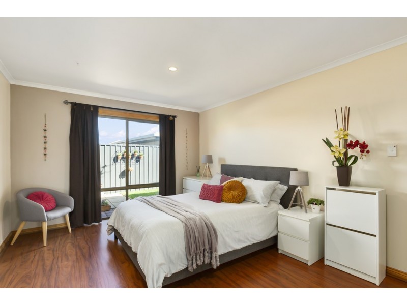 54 Oliphant Avenue, Marion SA 5043