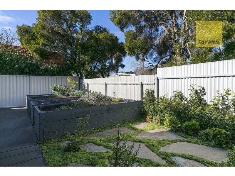 92A Daly Street, South Plympton SA 5038