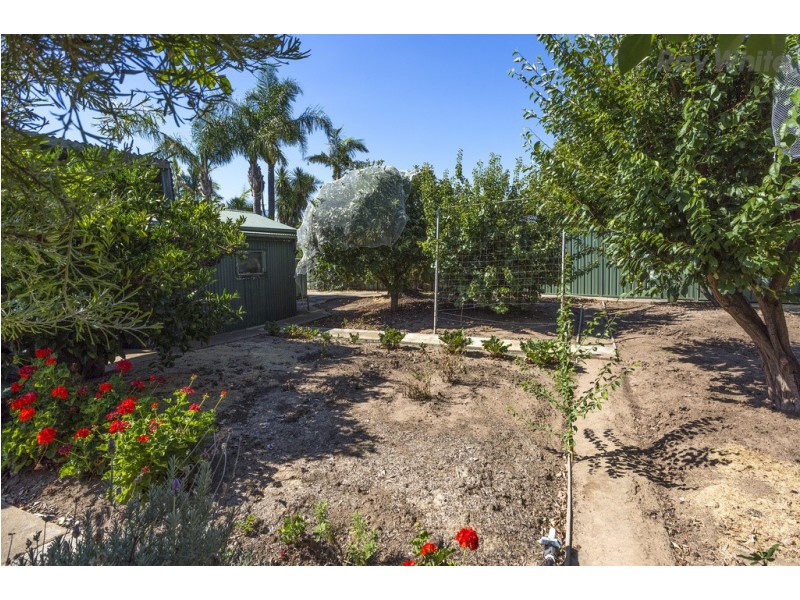 42 Fisk Avenue, Glengowrie SA 5044