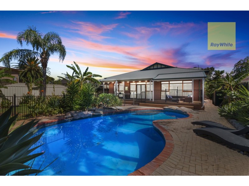 6 Basnett Street, Kurralta Park SA 5037