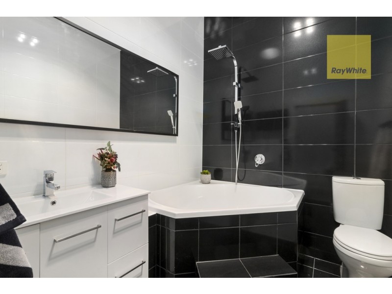 6 Basnett Street, Kurralta Park SA 5037