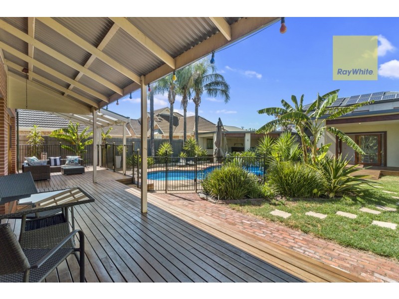 6 Basnett Street, Kurralta Park SA 5037