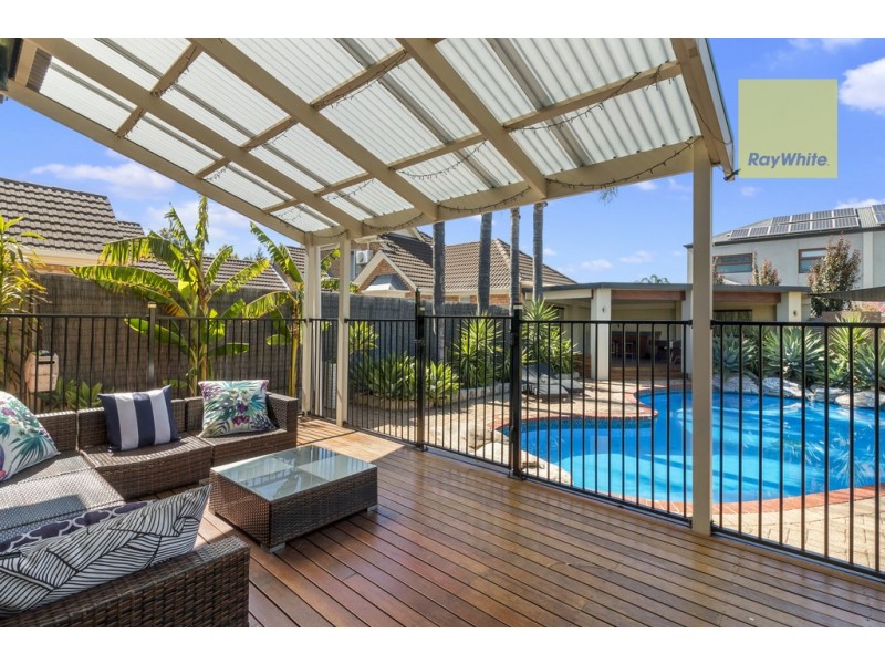 6 Basnett Street, Kurralta Park SA 5037