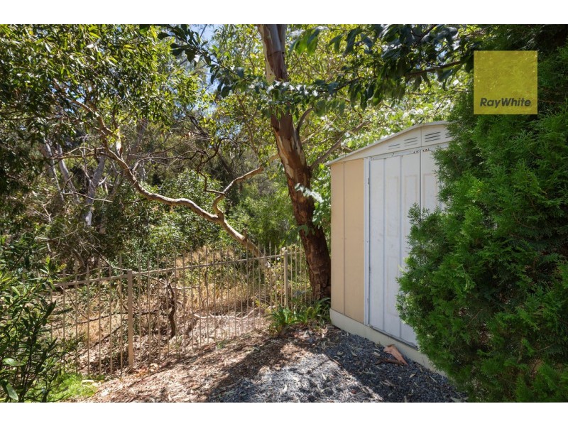 6 Cassia Court, Aberfoyle Park SA 5159