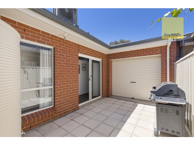 87 Thomas Street, South Plympton SA 5038