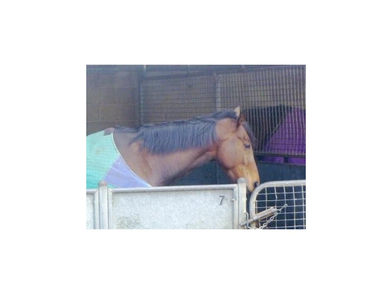 87 Morphett Road, Morphettville SA 5043