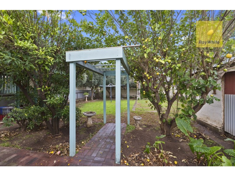 39 Garfield Avenue, Kurralta Park SA 5037