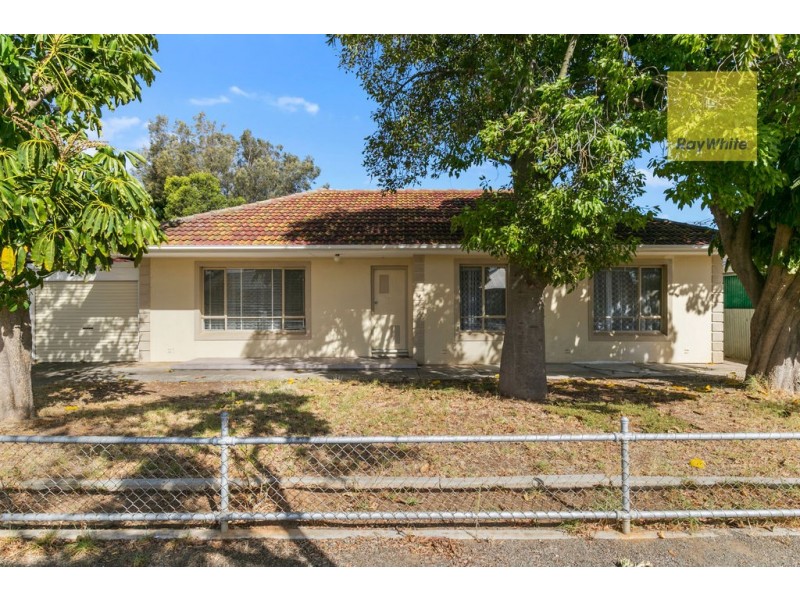 46 Allison Street, Ascot Park SA 5043