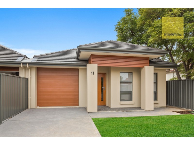 11 Brinkworth Street, South Plympton SA 5038