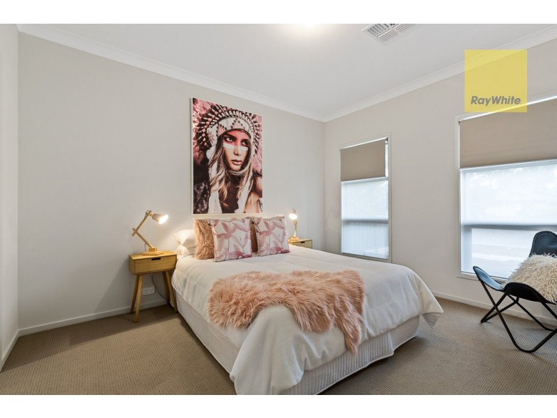 11 Brinkworth Street, South Plympton SA 5038