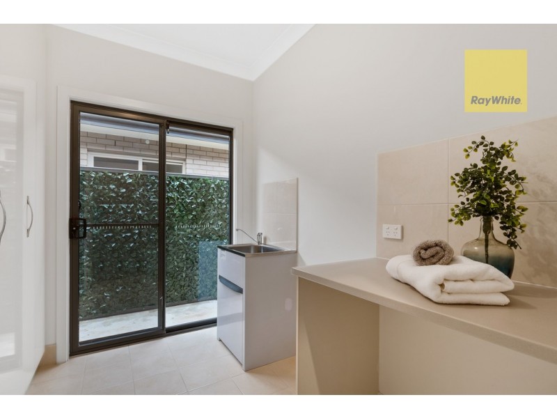 11 Brinkworth Street, South Plympton SA 5038