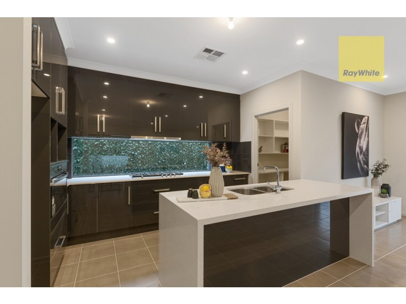 11 Brinkworth Street, South Plympton SA 5038