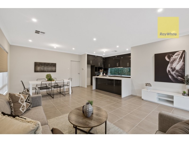 11 Brinkworth Street, South Plympton SA 5038