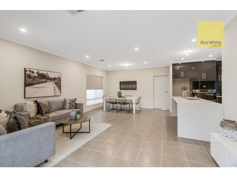 11 Brinkworth Street, South Plympton SA 5038