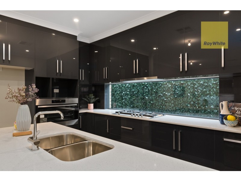 11 Brinkworth Street, South Plympton SA 5038