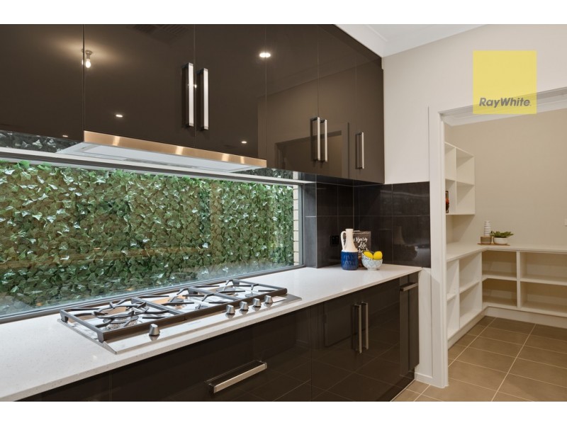 11 Brinkworth Street, South Plympton SA 5038