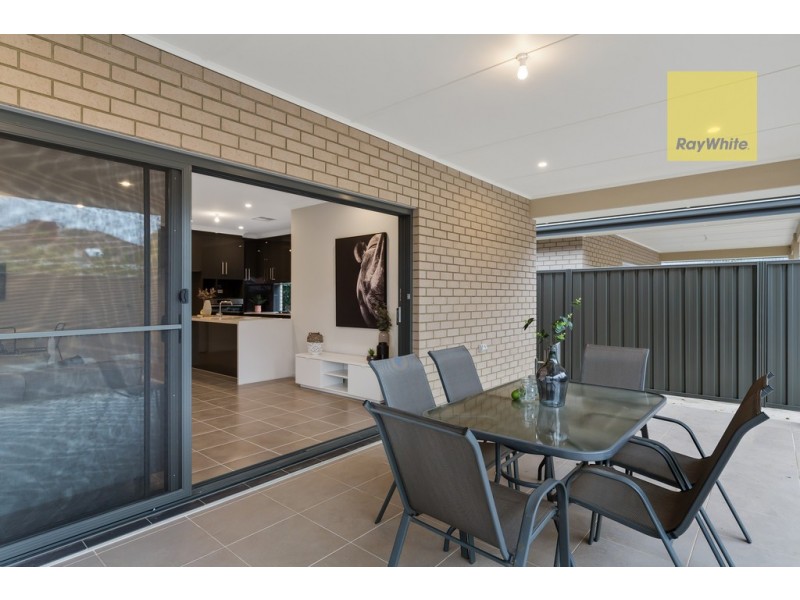 11 Brinkworth Street, South Plympton SA 5038