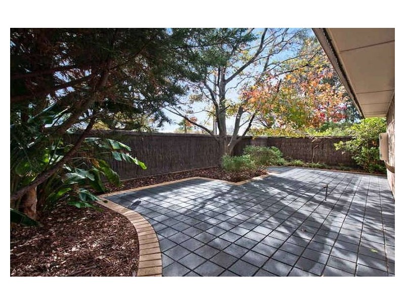 1/194 Anzac Highway, Glandore SA 5037