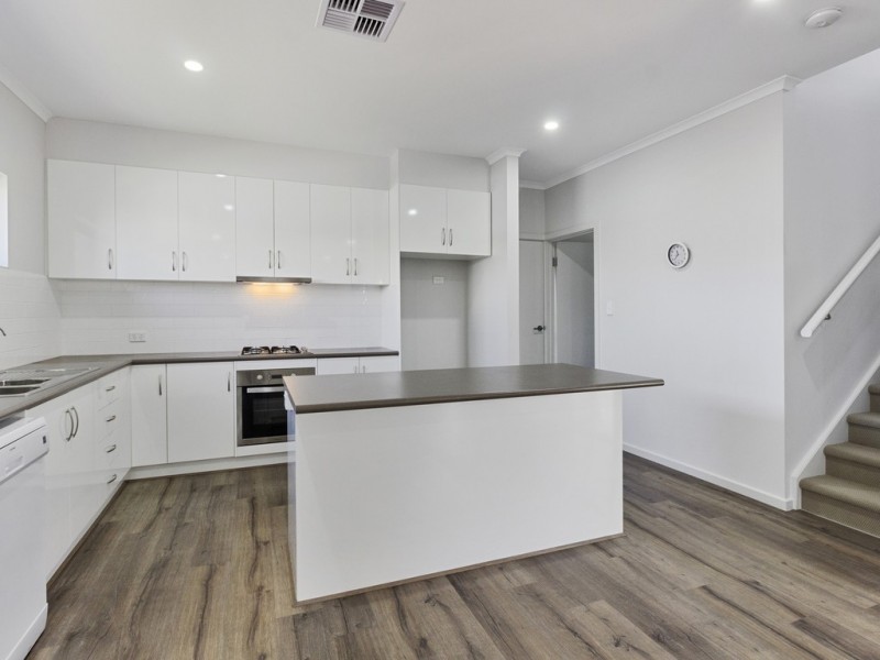19 Talbot Street, Hilton SA 5033