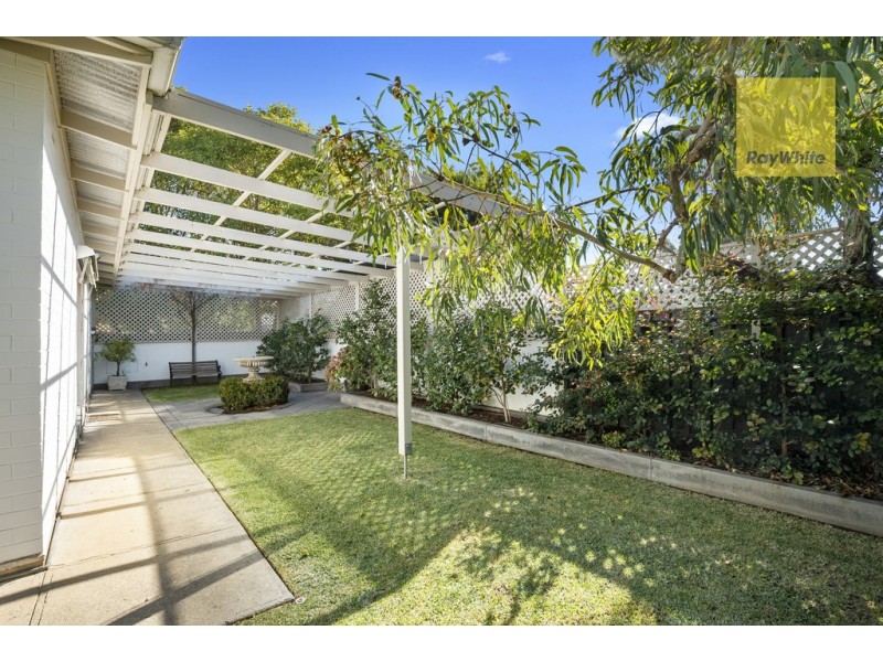 3 Colin Street, Camden Park SA 5038
