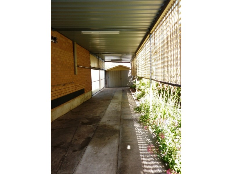 17 Errington Street, Plympton SA 5038