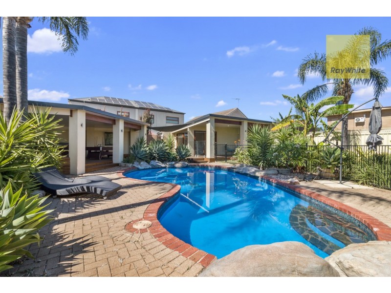 6 Basnett Street, Kurralta Park SA 5037