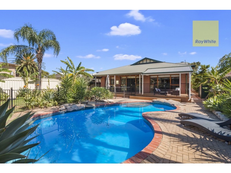 6 Basnett Street, Kurralta Park SA 5037