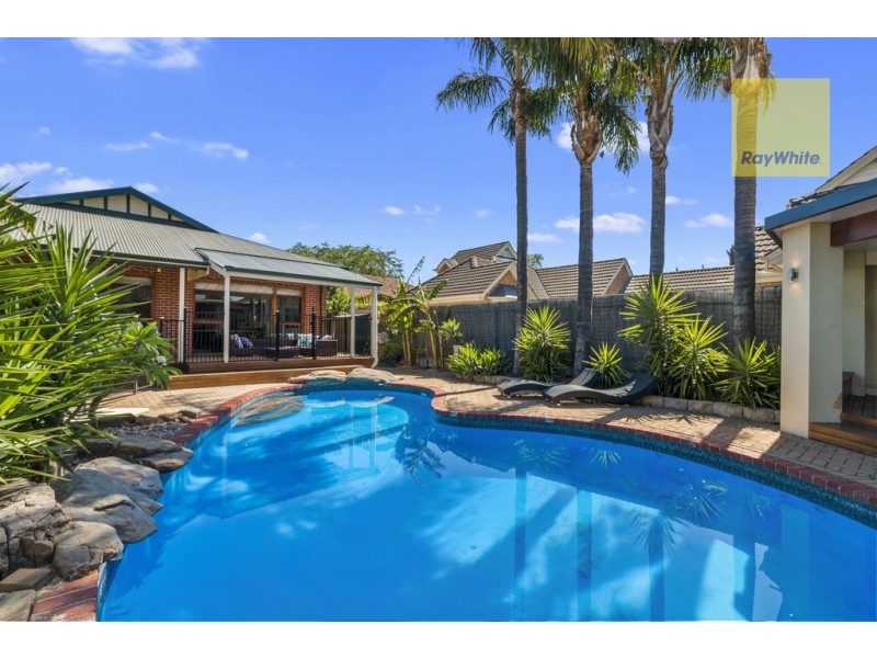 6 Basnett Street, Kurralta Park SA 5037