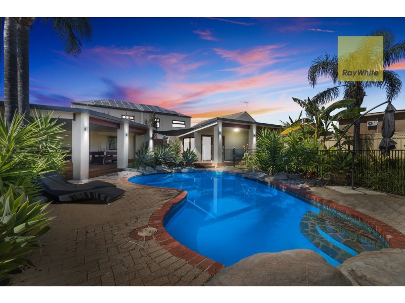 6 Basnett Street, Kurralta Park SA 5037