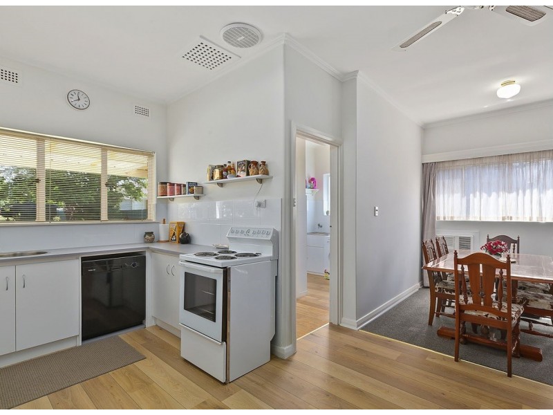 49 Wood Street, South Plympton SA 5038